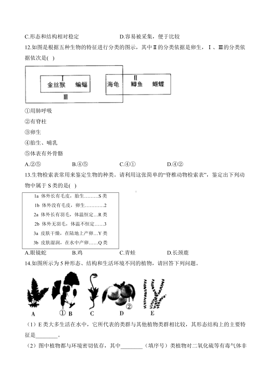 2.4.1尝试对生物进行分类——课时优化训练（含解析）-2024新人教版七年级上册《生物》.docx_第3页