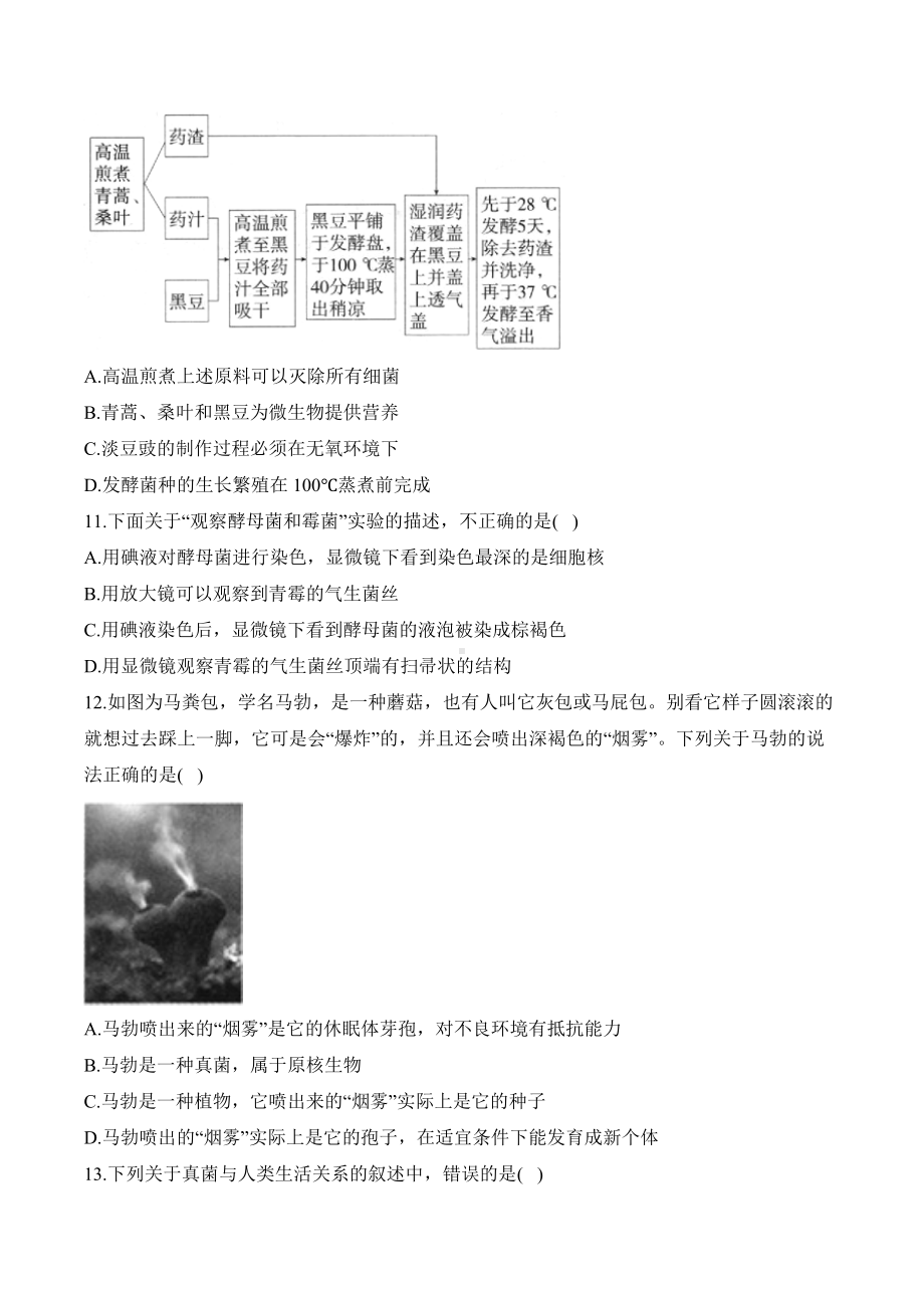 2.3.3真菌——课时优化训练（含解析）-2024新人教版七年级上册《生物》.docx_第3页