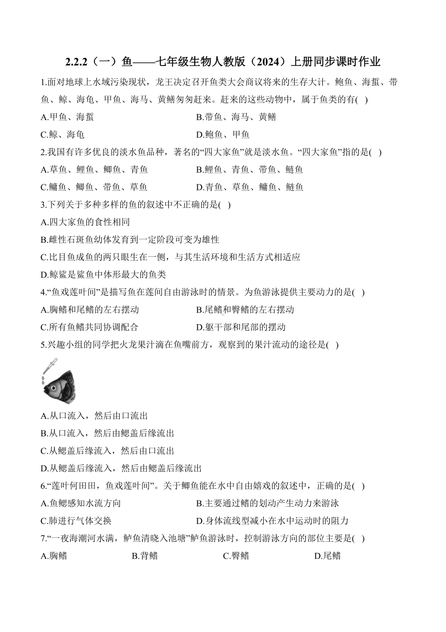 2.2.2（一）鱼——课时优化训练（含解析）-2024新人教版七年级上册《生物》.docx_第1页