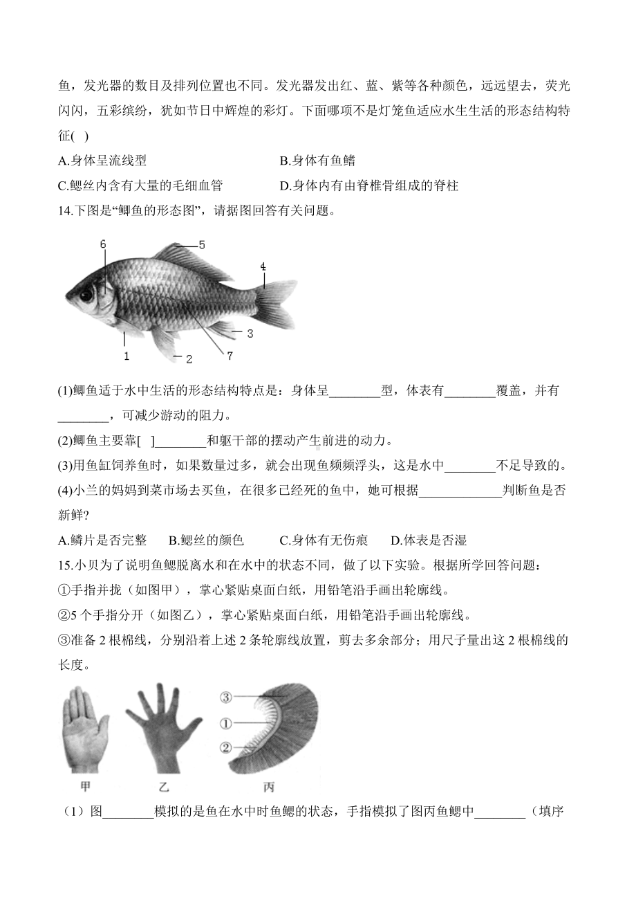 2.2.2（一）鱼——课时优化训练（含解析）-2024新人教版七年级上册《生物》.docx_第3页