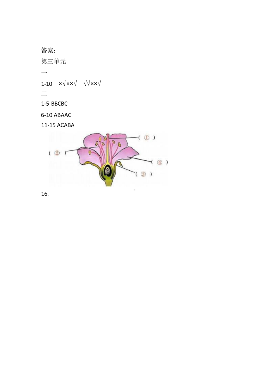 第三单元植物的“身体”练习题-2024新粤教粤科版一年级上册《科学》.docx_第3页