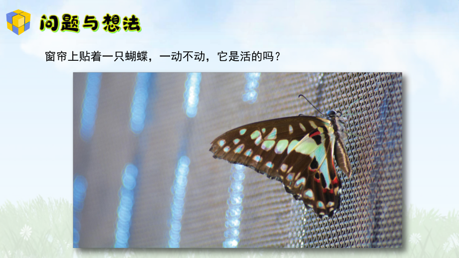 2.6《动物是生物》ppt课件-2024新粤教粤科版一年级上册《科学》.pptx_第3页