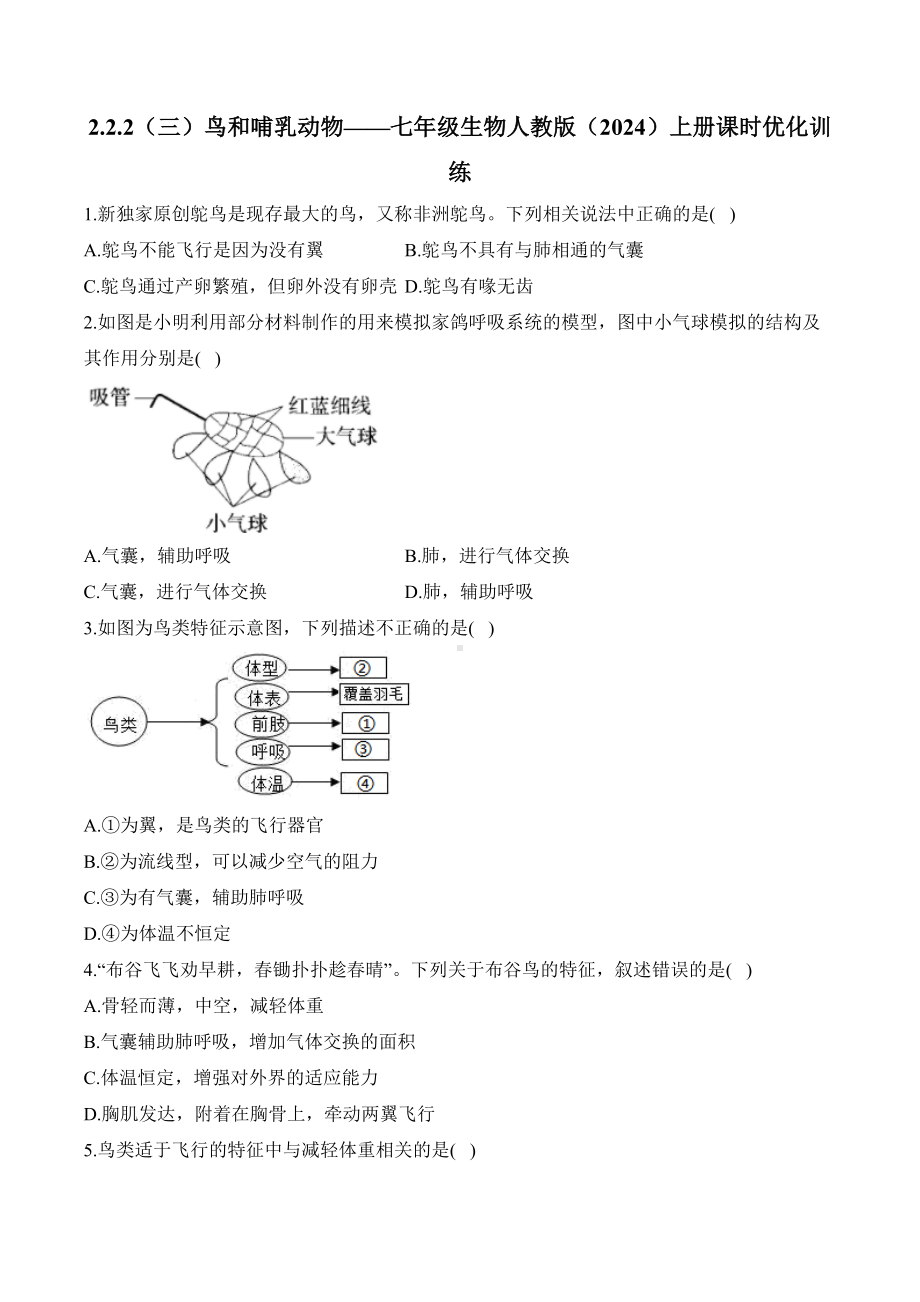 2.2.3（三）鸟和哺乳动物——课时优化训练（含解析）-2024新人教版七年级上册《生物》.docx_第1页