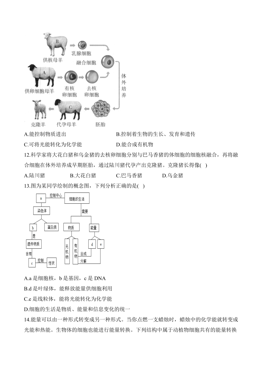 1.2.4细胞的生活——课时优化训练（含答案）-2024新人教版七年级上册《生物》.docx_第3页