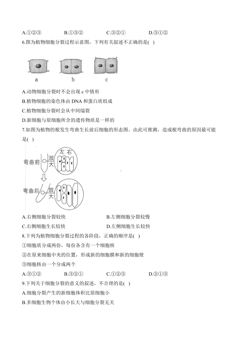 1.3.1细胞通过分裂产生新细胞——课时优化训练（含答案）-2024新人教版七年级上册《生物》.docx_第2页