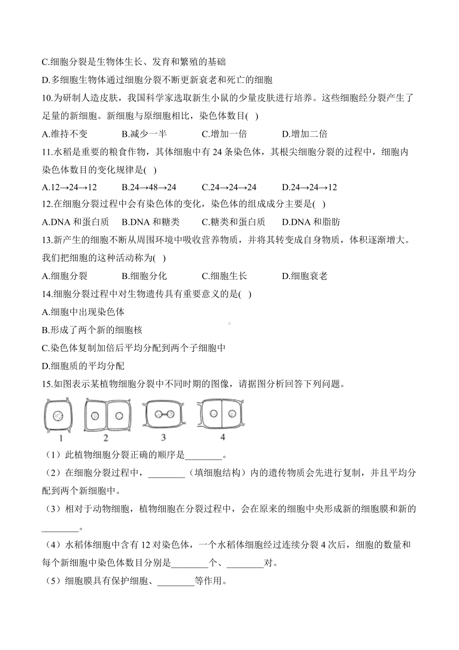 1.3.1细胞通过分裂产生新细胞——课时优化训练（含答案）-2024新人教版七年级上册《生物》.docx_第3页