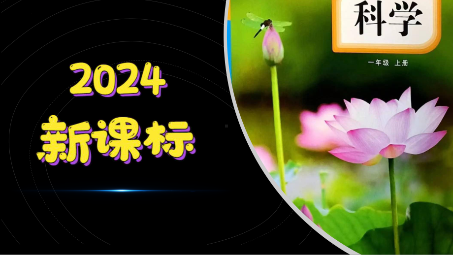 2.1 我们的身体ppt课件-2024新教科版一年级上册《科学》.pptx_第1页