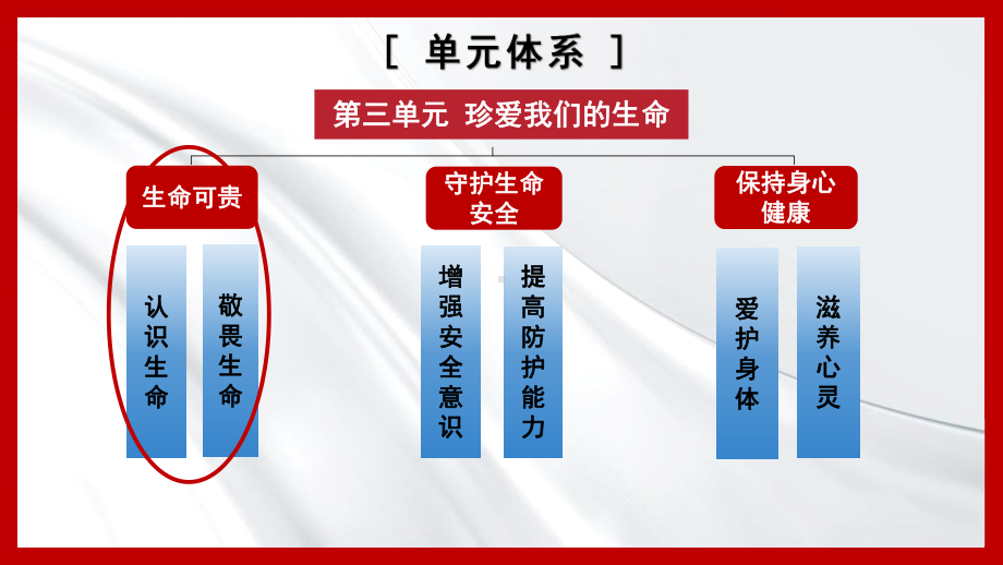 8.2 敬畏生命 ppt课件-（2024部）统编版七年级上册《道德与法治》.pptx_第1页