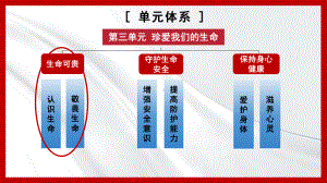 8.2 敬畏生命 ppt课件-（2024部）统编版七年级上册《道德与法治》.pptx