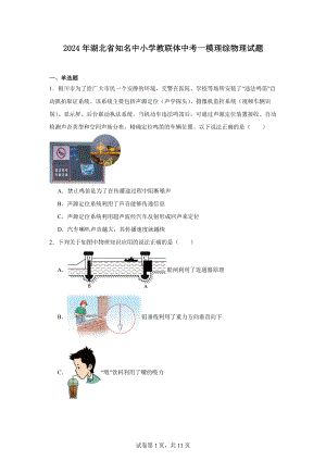 2024年湖北省知名中小学教联体中考一模理综物理试题.docx