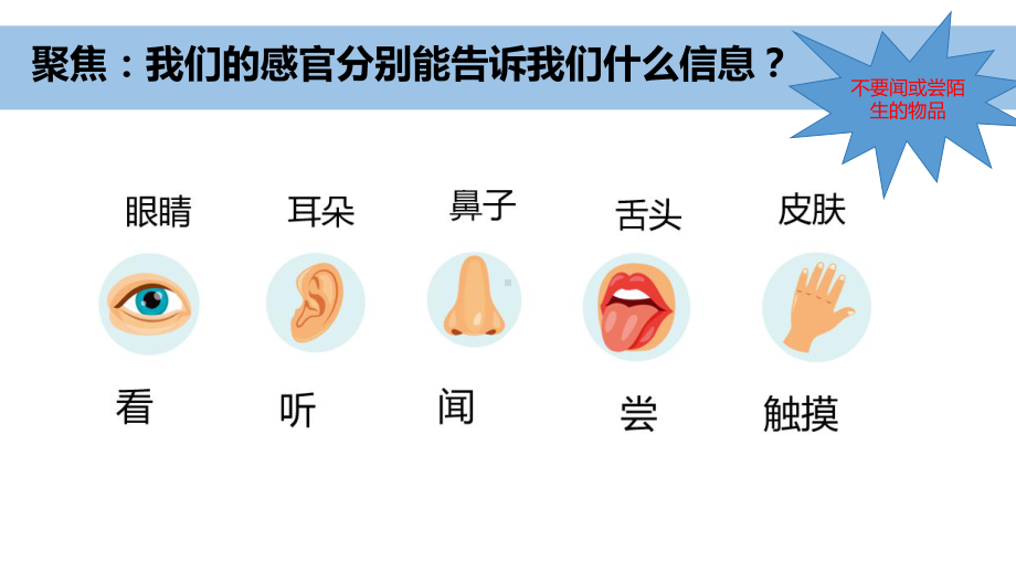 2024新教科版一年级科学上册第二单元2.5《通过感官来发现》课件.pptx_第3页