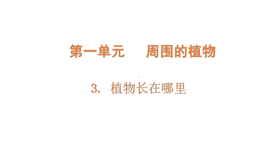 1.3《植物长在哪里》PPT课件-2024新教科版一年级上册科学.pptx_第1页