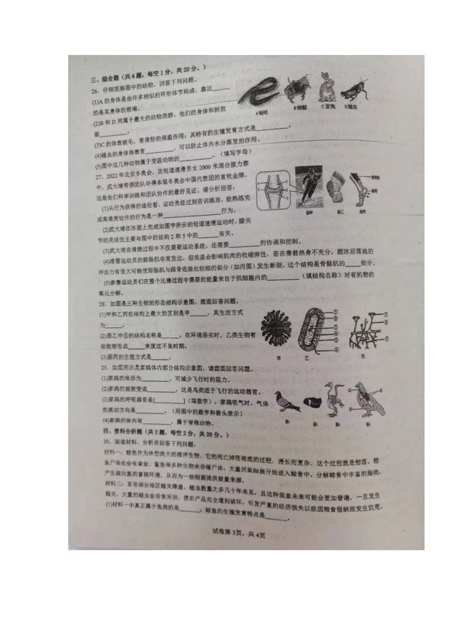 湖南省郴州市第六中学2023-2024学年八年级上学期期中考试生物试题.docx_第3页