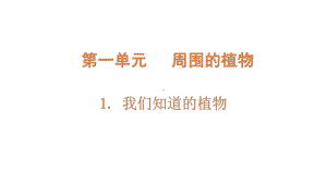 1.1《我们知道的植物》PPT课件-2024新教科版一年级上册科学.pptx