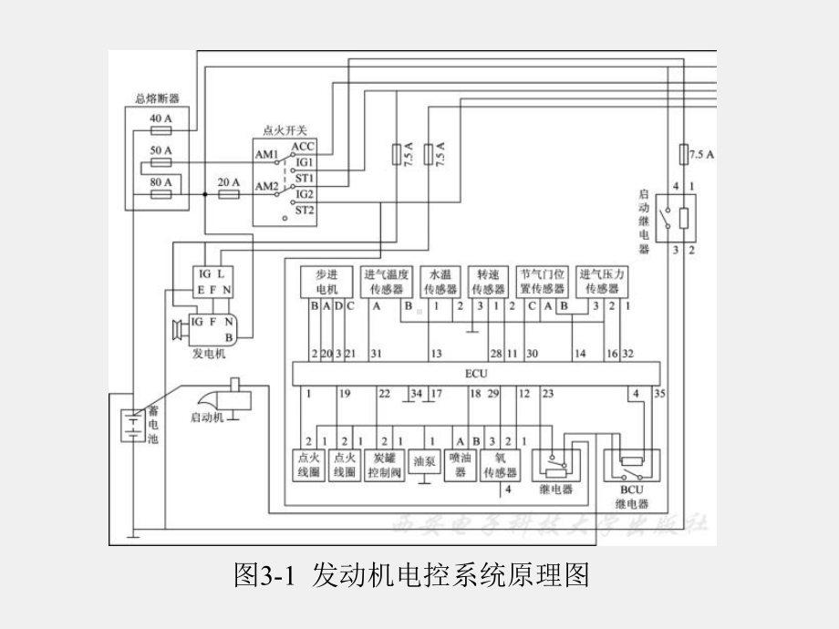 《汽车单片机与车载网络技术》课件第3章.ppt_第3页