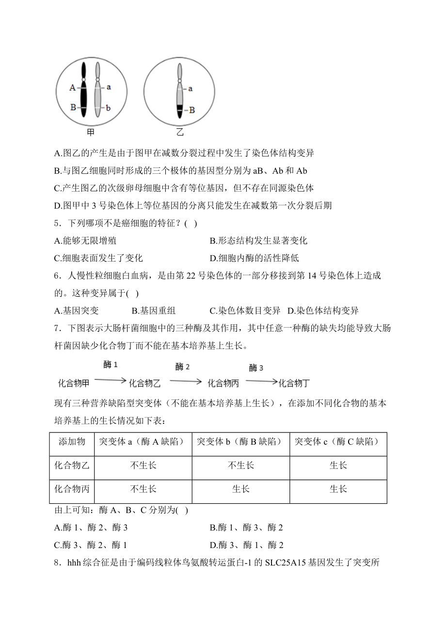 2025届高考生物一轮复习高频考点专题练：生物的变异与育种.docx_第2页