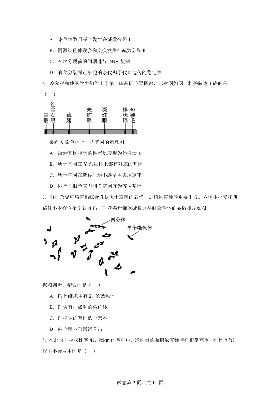 2024年北京高考真题生物试卷.docx_第2页