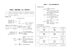 2024届高三生物二轮专题复习生物：细胞的生命历程学案.docx