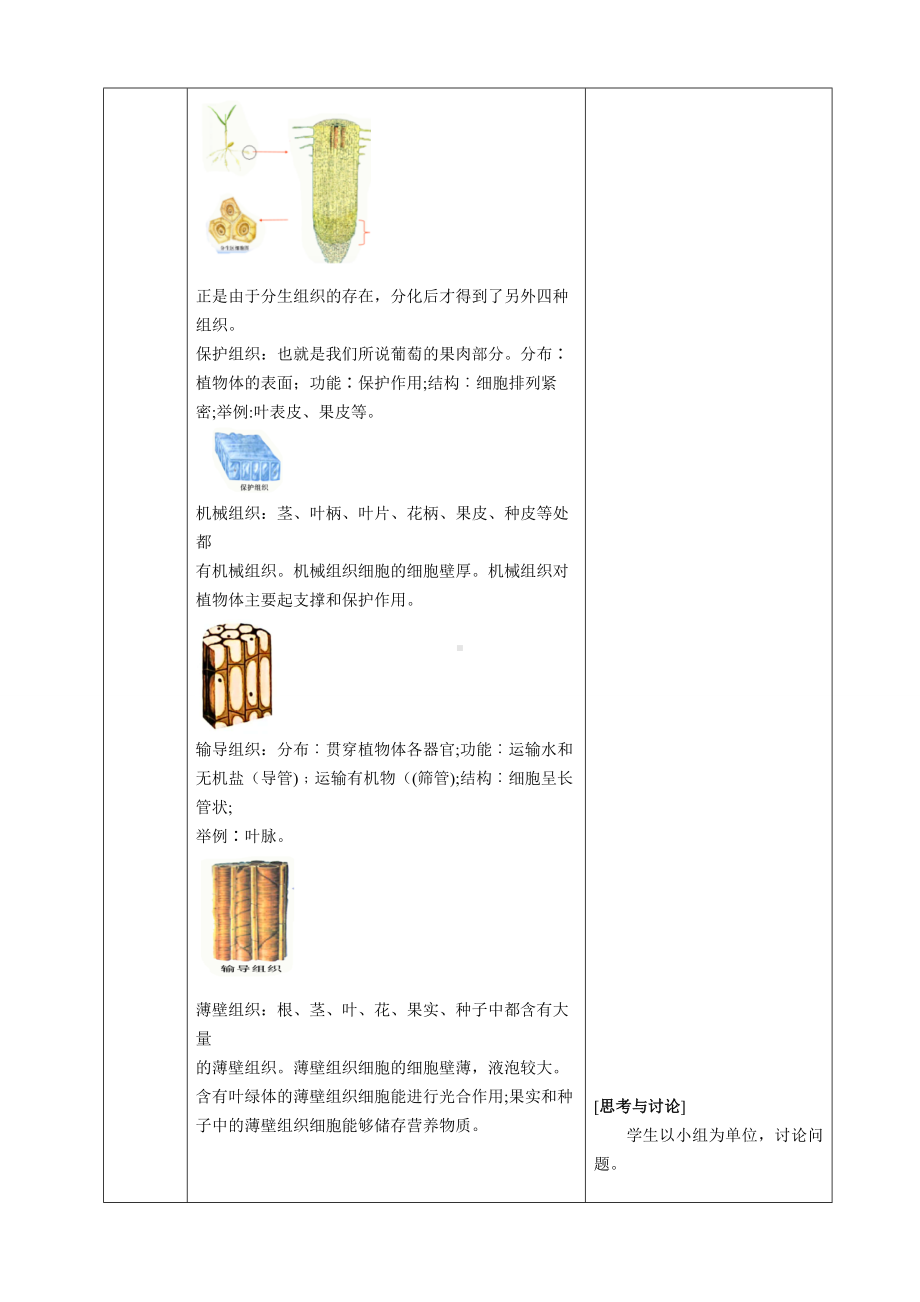 [核心素养目标]1.3.3植物体的结构层次教案（表格式）-2024新人教版七年级上册《生物》.docx_第3页