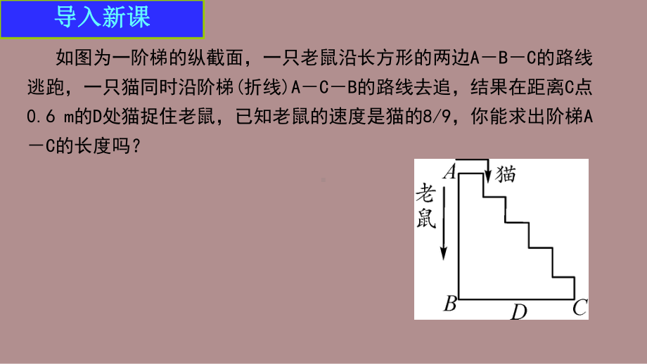 3.1.2 代数式 (课件)北师大版(2024)数学七年级上册).pptx_第3页