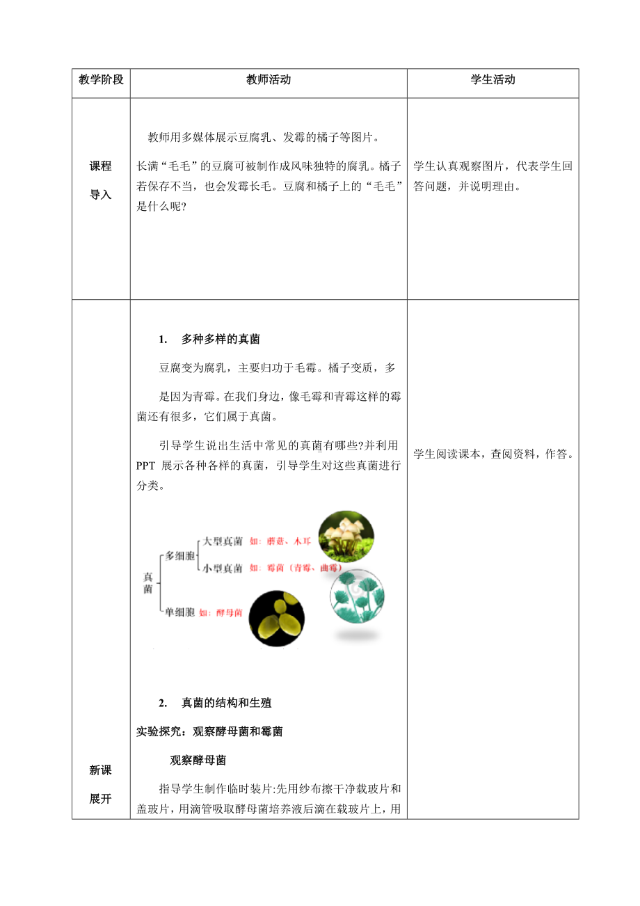 [核心素养目标]2.3.3 真菌 教案（表格式）-2024新人教版七年级上册《生物》.docx_第2页