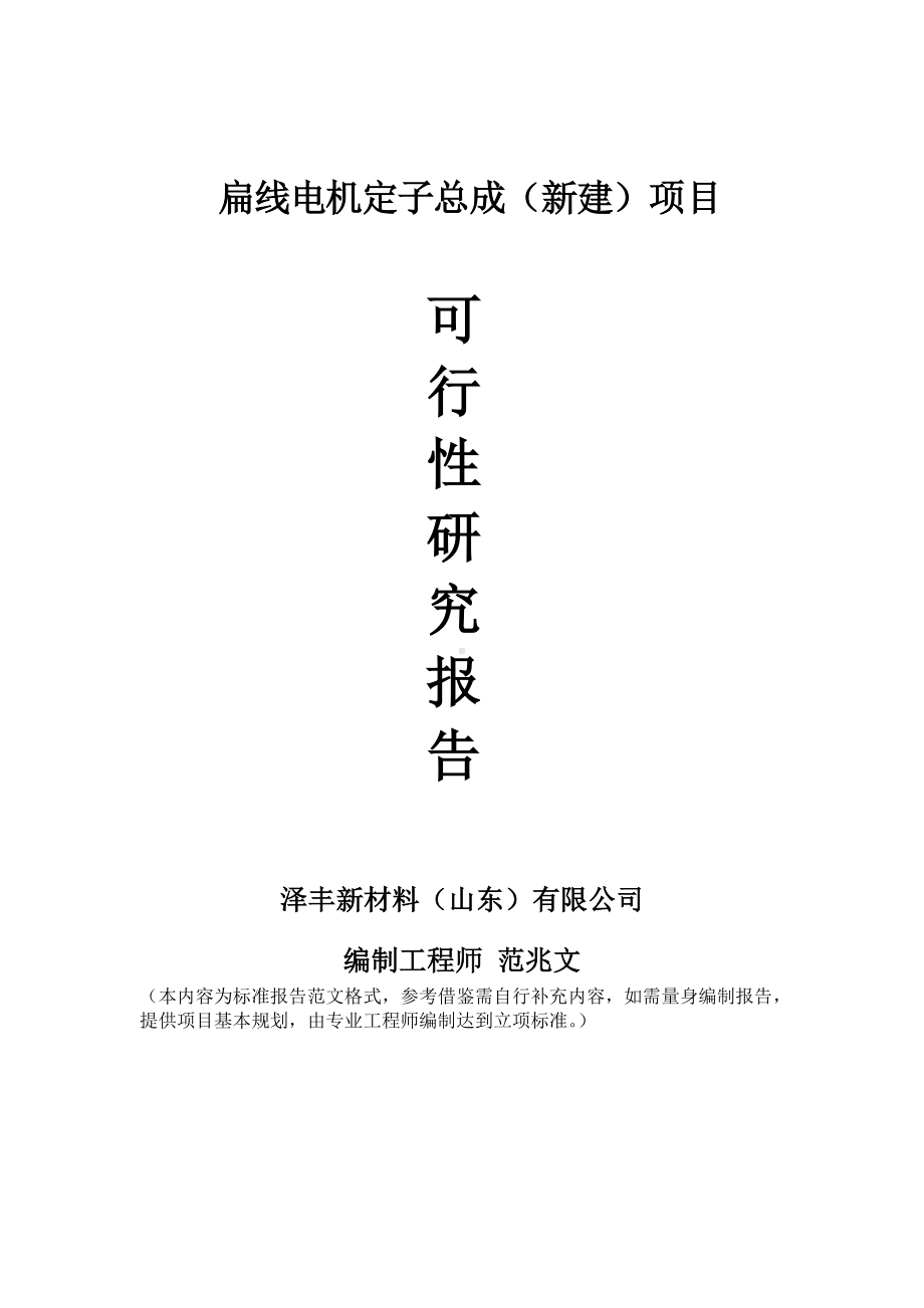 扁线电机定子总成建议书可行性研究报告备案可修改案例模板.doc_第1页