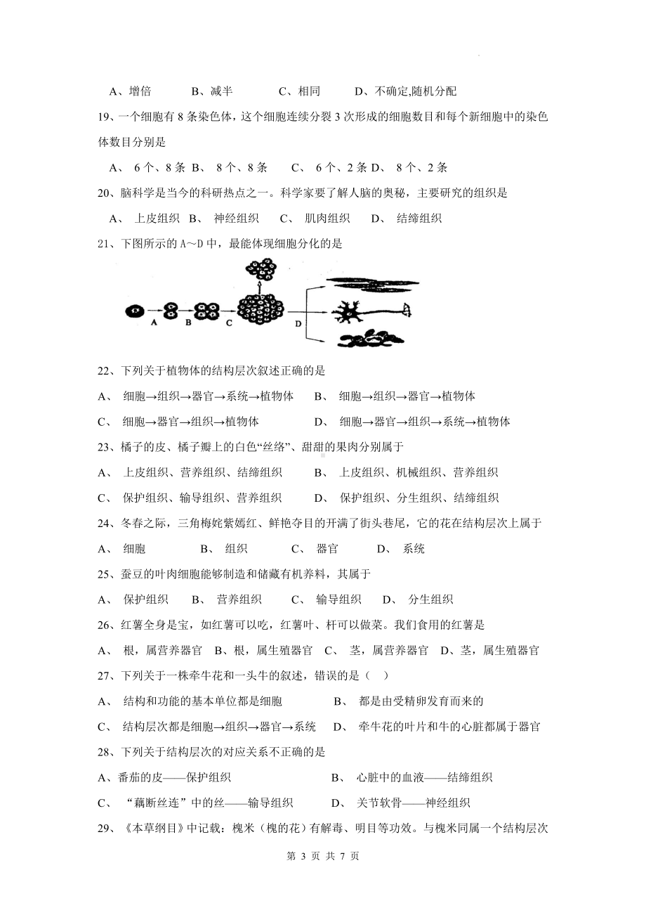 北师大版（2024新版）七年级上册生物学第2单元《生物体的结构》单元测试卷（含答案）.docx_第3页