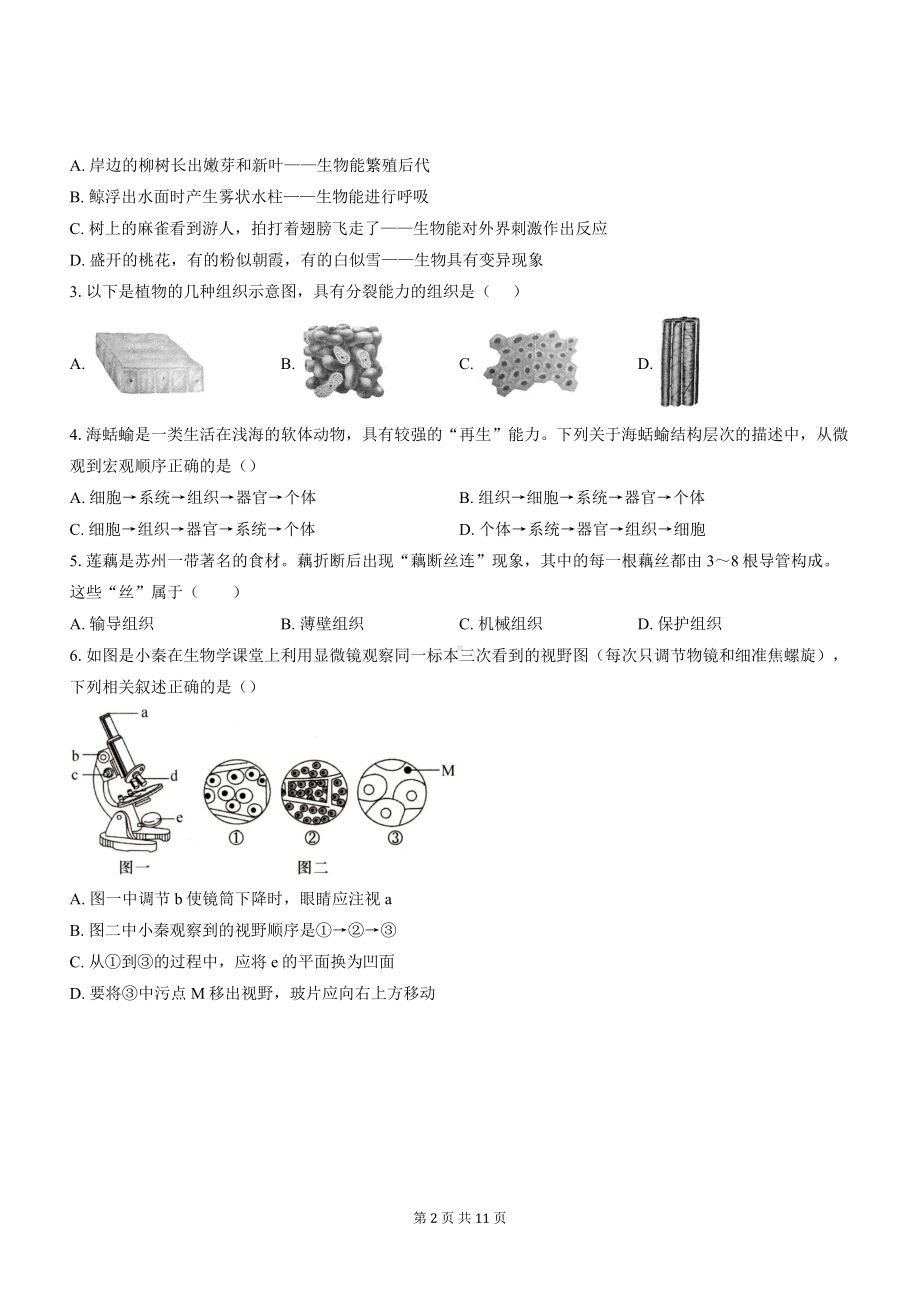 人教版（2024新版）七年级上册生物期末考试模拟测试卷（含答案）.docx_第2页