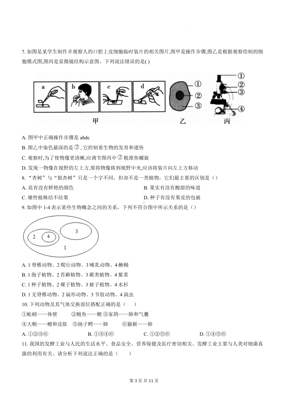 人教版（2024新版）七年级上册生物期末考试模拟测试卷（含答案）.docx_第3页