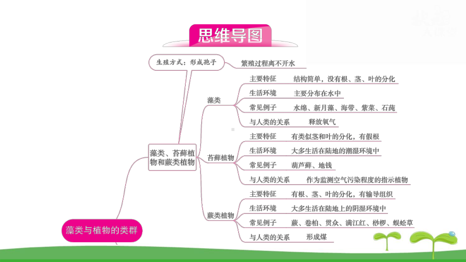 人教版（2024新版）七年级上册生物第二单元第一、二章 单元提升复习课件.pptx_第3页