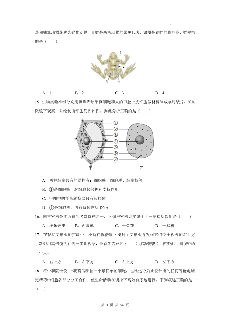 人教版（2024新版）七年级生物上册期末学业检测模拟预测试卷3套（含答案）.docx_第3页