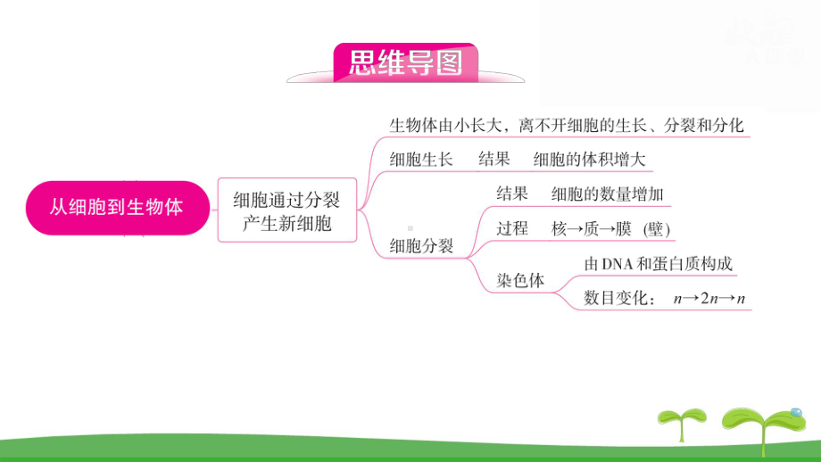 人教版（2024新版）七年级上册生物第一单元 第三章从细胞到生物体 复习课件.pptx_第2页