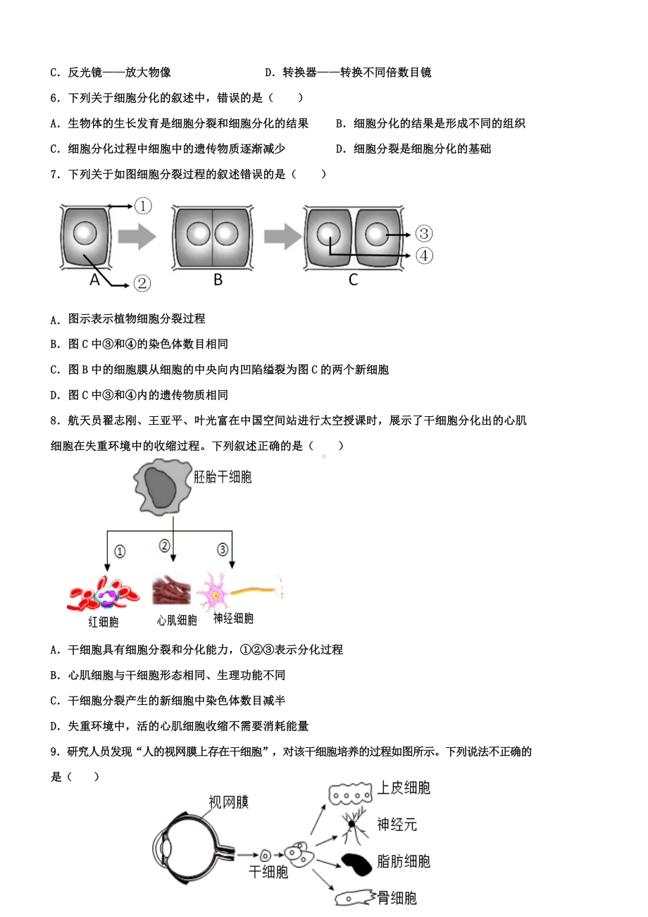 冀少版（2024新版）七年级上册生物期末检测模拟预测试卷3（含答案）.docx_第2页