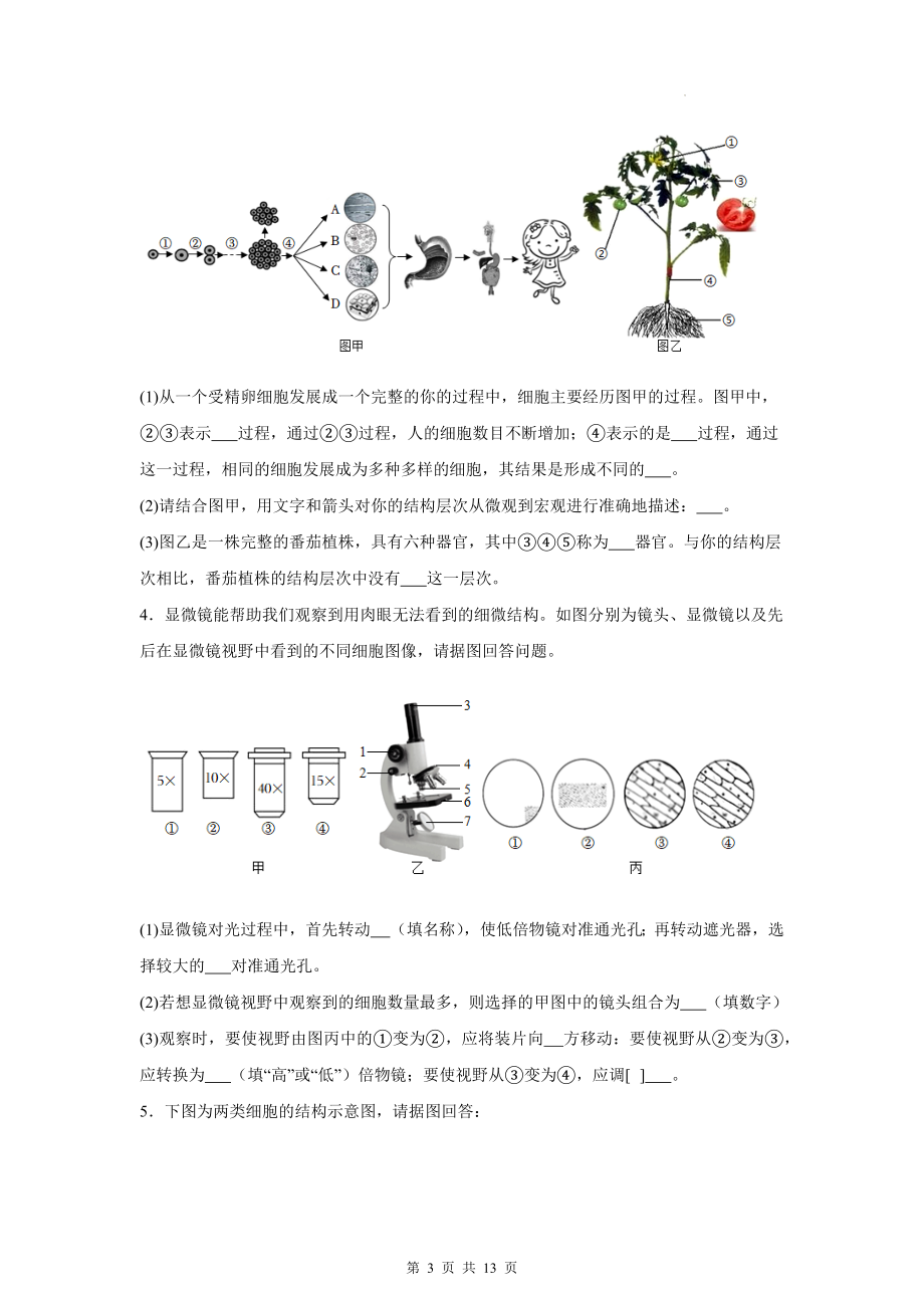 冀少版（2024）七年级上册生物期末复习：识图题 专题练习题（含答案）.docx_第3页