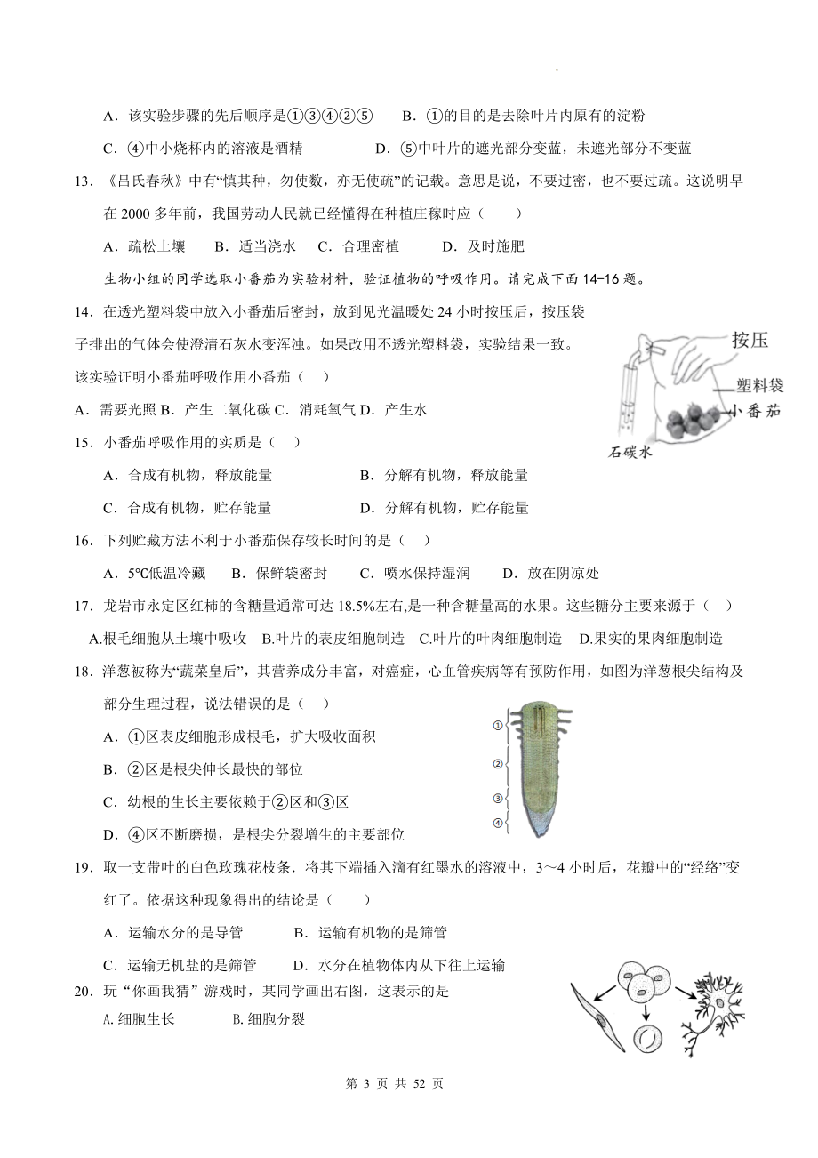 北师大版（2024新版）七年级上册生物期末复习刷题试卷 5套（含答案）.docx_第3页