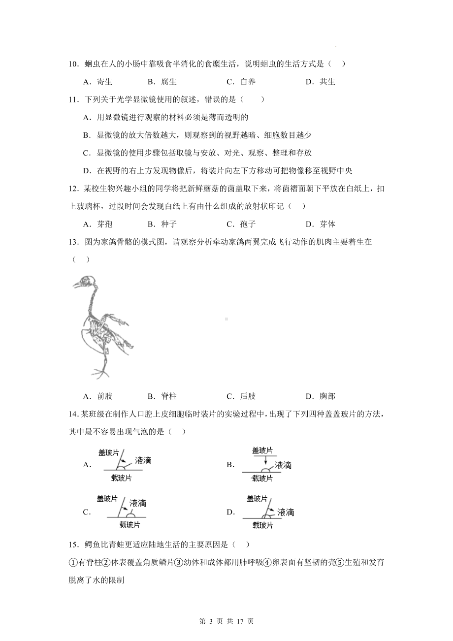 冀少版（2024）七年级上册生物期末复习：选择题 专题练习题（含答案）.docx_第3页