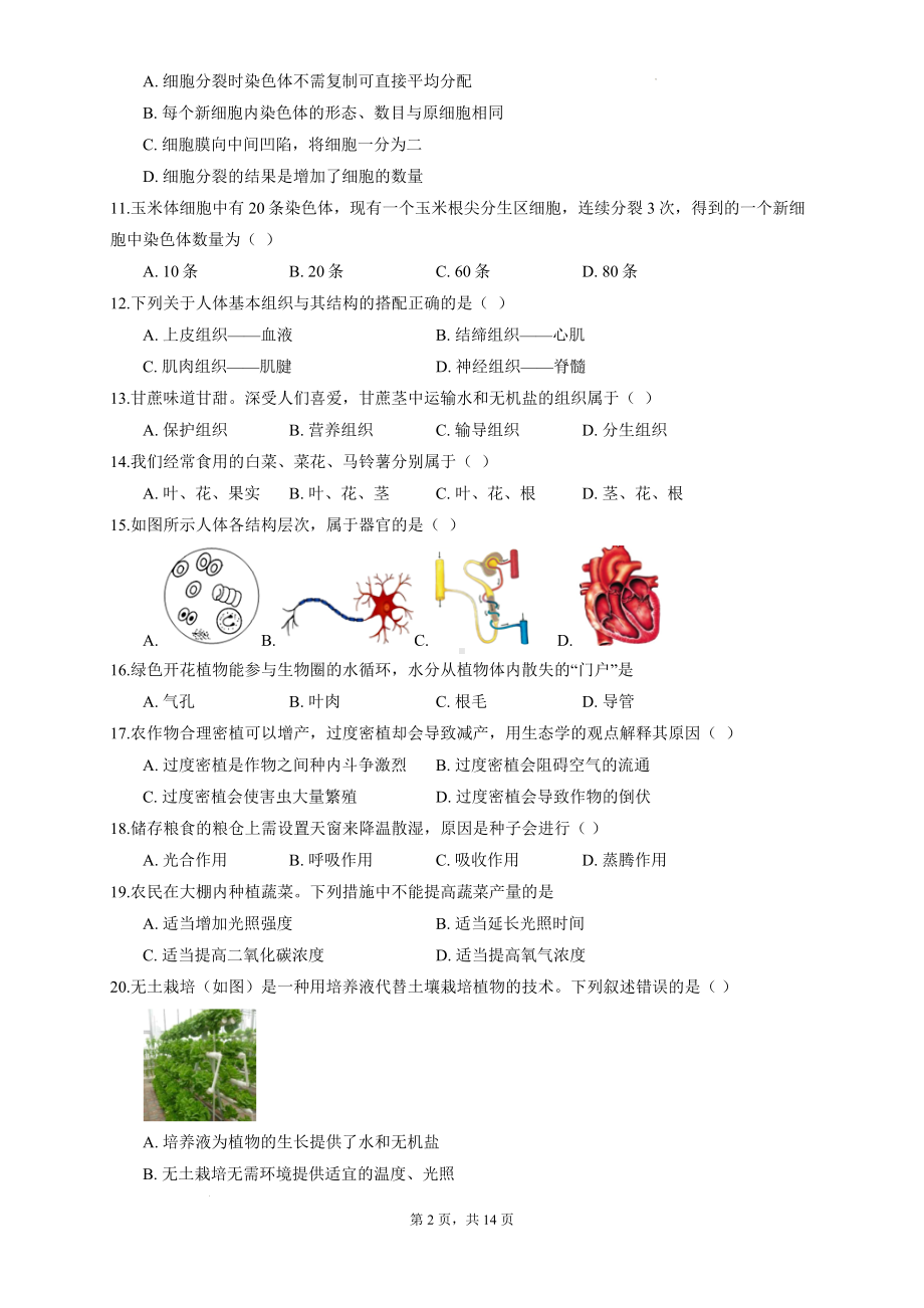 北师大版（2024新版）七年级上册生物期末复习刷题试卷4（含答案解析）.docx_第2页