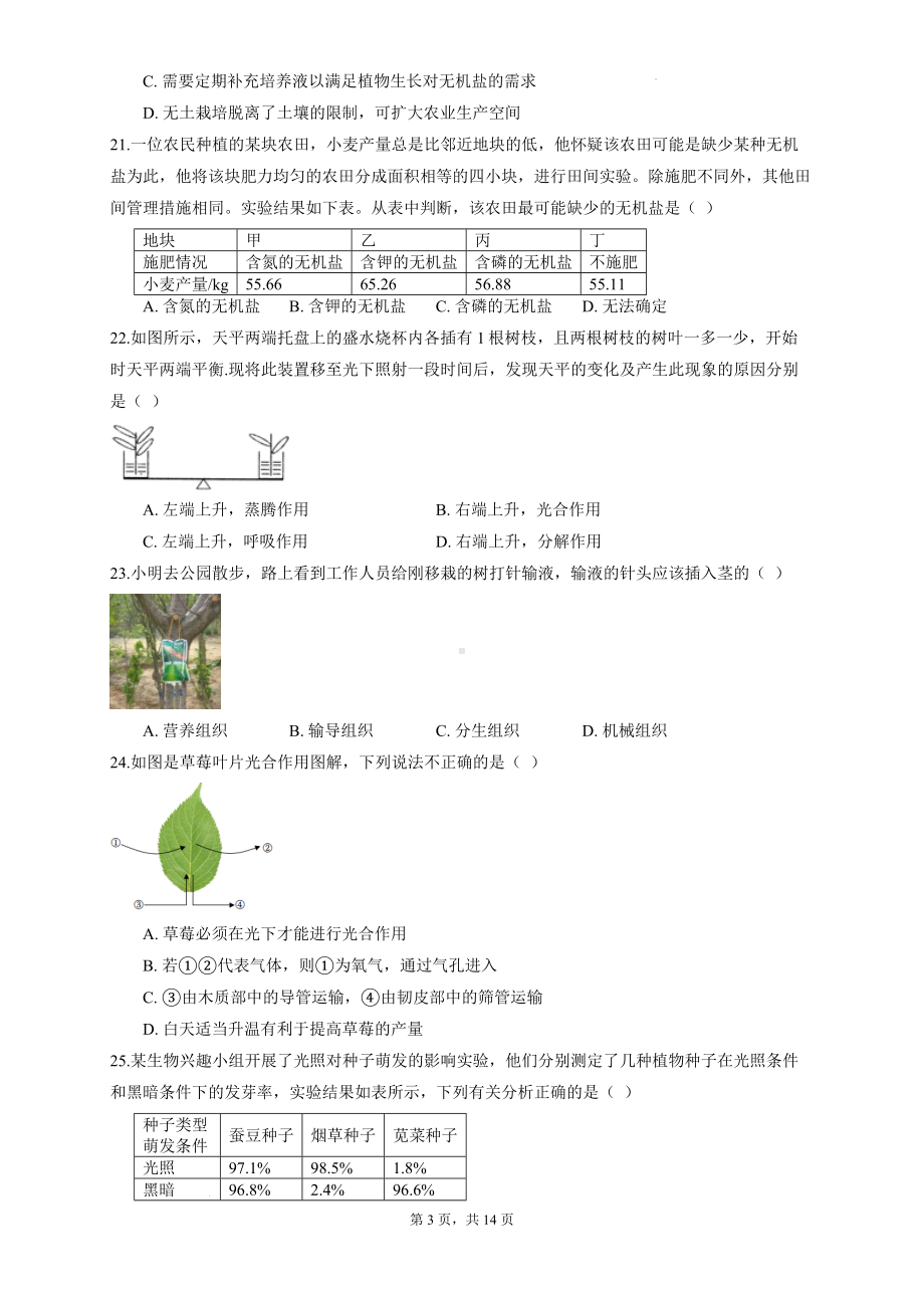 北师大版（2024新版）七年级上册生物期末复习刷题试卷4（含答案解析）.docx_第3页