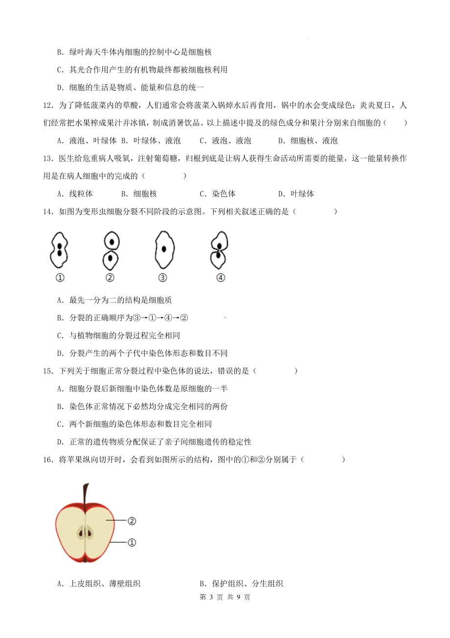 冀少版（2024新版）七年级上册生物期末检测模拟预测试卷2（含答案）.docx_第3页