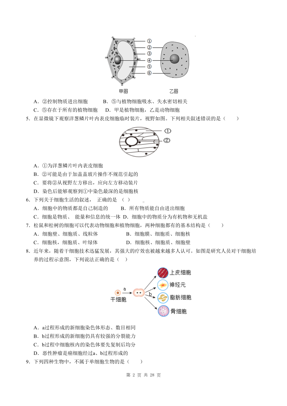 人教版（2024新版）七年级上册生物期末学业质量检测试卷（含答案解析）.docx_第2页