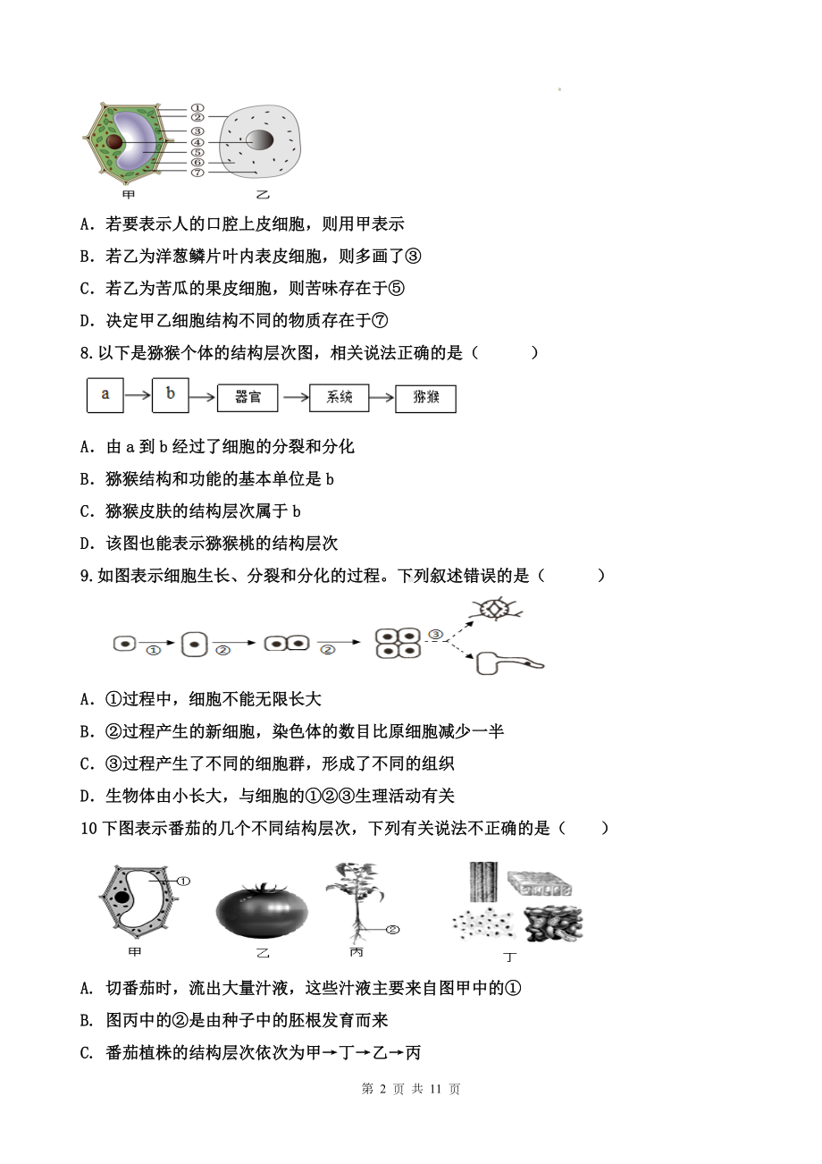 济南版（2024新版）七年级上册生物期末检测模拟预测试卷3（含答案）.docx_第2页