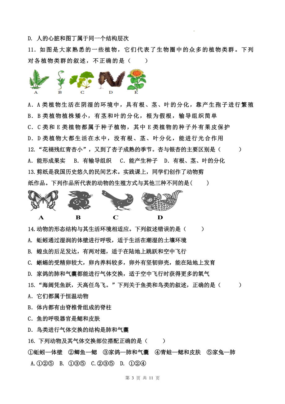 济南版（2024新版）七年级上册生物期末检测模拟预测试卷3（含答案）.docx_第3页