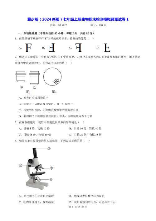 冀少版（2024新版）七年级上册生物期末检测模拟预测试卷 3套（含答案）.docx