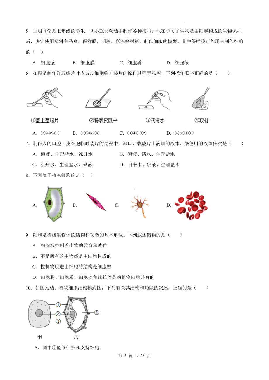 冀少版（2024新版）七年级上册生物期末检测模拟预测试卷 3套（含答案）.docx_第2页