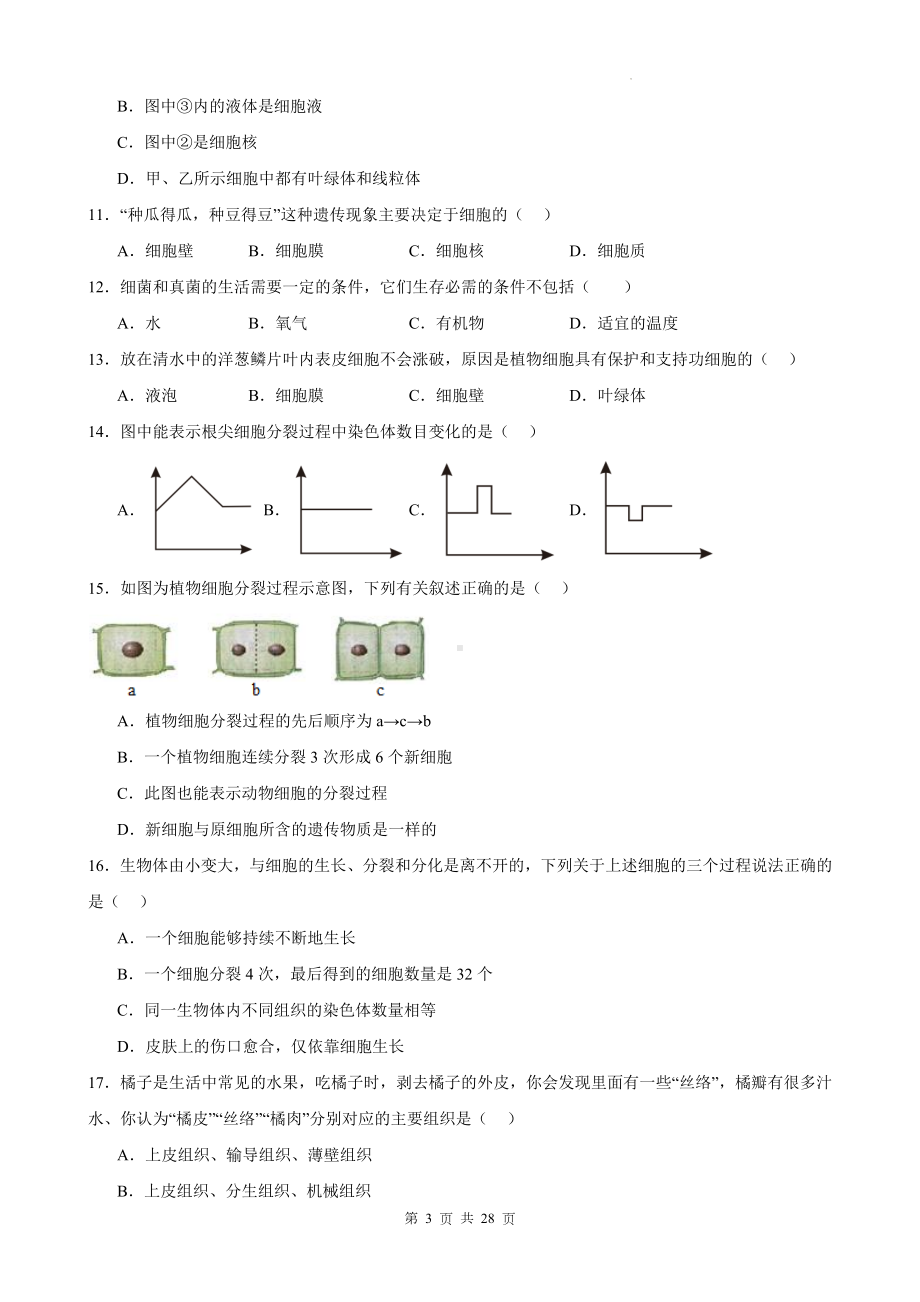 冀少版（2024新版）七年级上册生物期末检测模拟预测试卷 3套（含答案）.docx_第3页