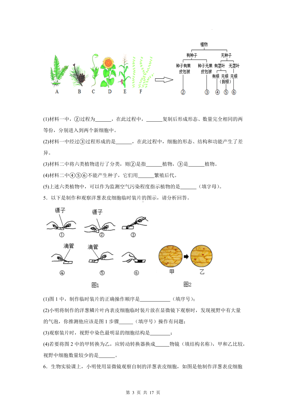 冀少版（2024）七年级上册生物期末复习：分析题 专题练习题（含答案）.docx_第3页