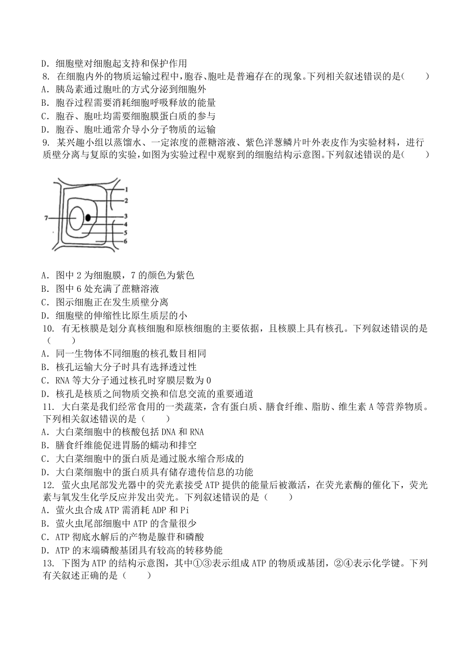 河北省石家庄市辛集市育才中学2024-2025学年高一上学期12月月考生物试题.doc_第2页