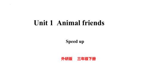 Unit 1Animal friends Speed up（ppt课件）-2025新外研版（三起）三年级下册《英语》.pptx