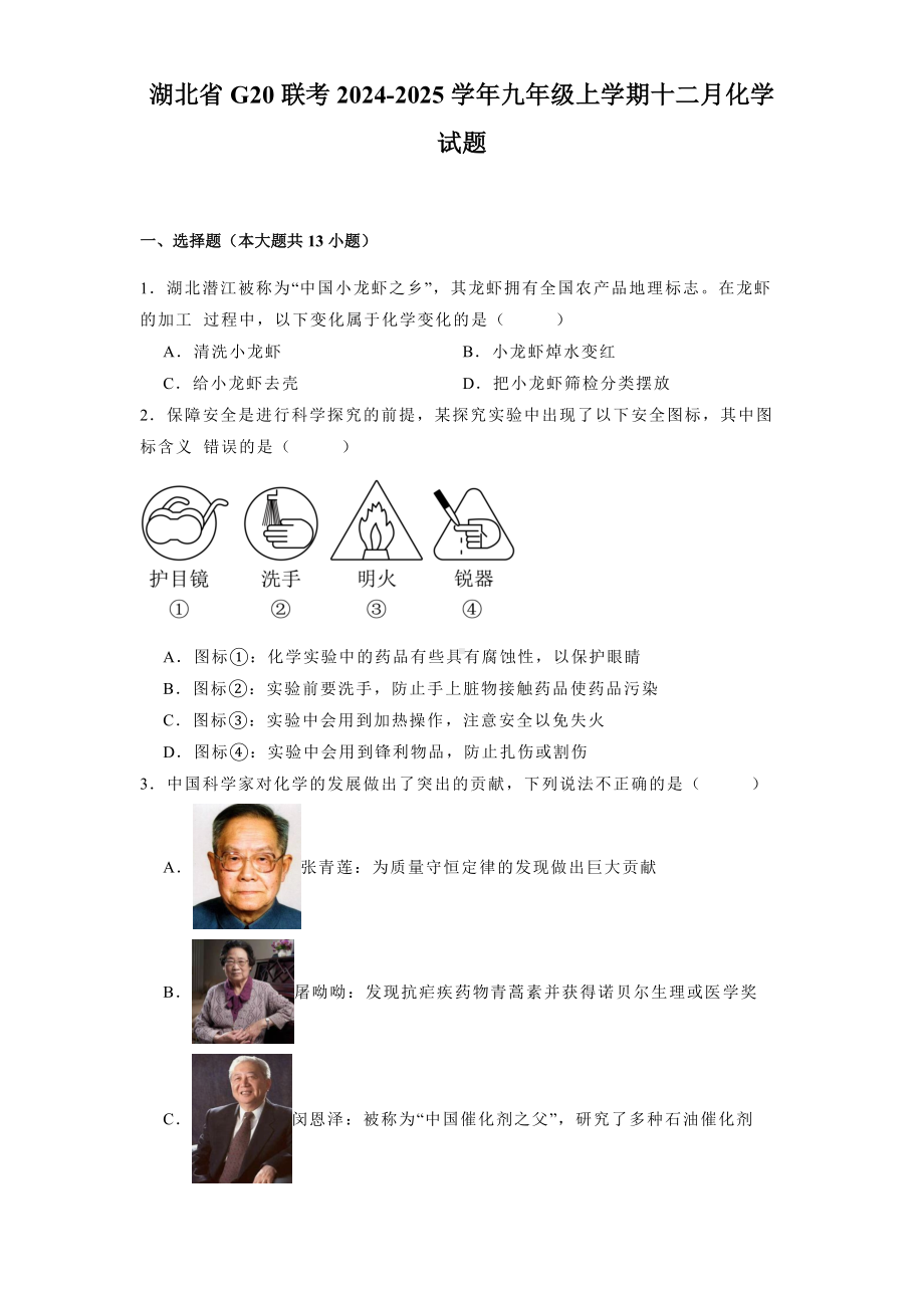 湖北省G20联考2024-2025学年九年级上学期十二月 化学试题（含解析）.docx_第1页