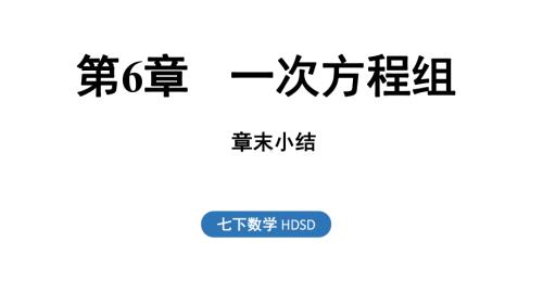 第6章 一次方程组小结与复习 课件 2024-2025学年华东师大版数学七年级下册.ppt